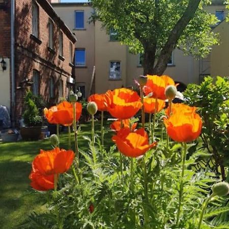 City Appartement Mit Garten, Zentral Und Trotzdem Ruhig Cottbus Exterior photo